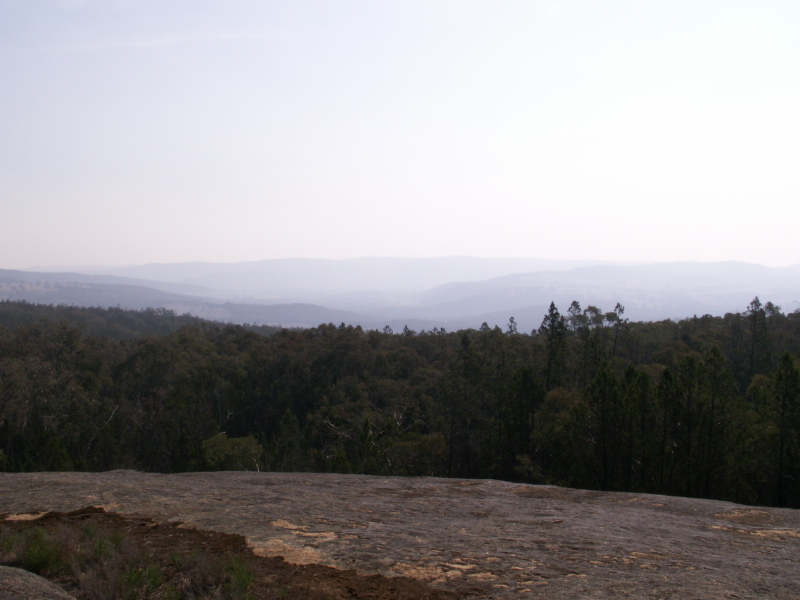 view